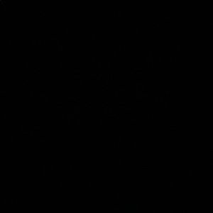 Meet your Posher, Antonio